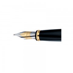 Waterman Exception 18K TT Gold Rhodium Plated (large)